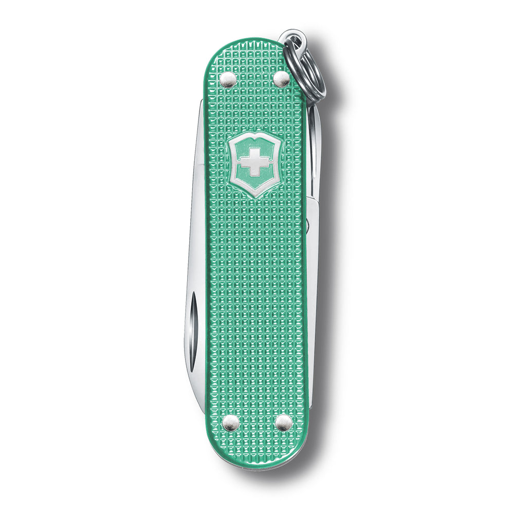 Victorinox Classic SD Alox in Minty Mint - 0.6221.221G