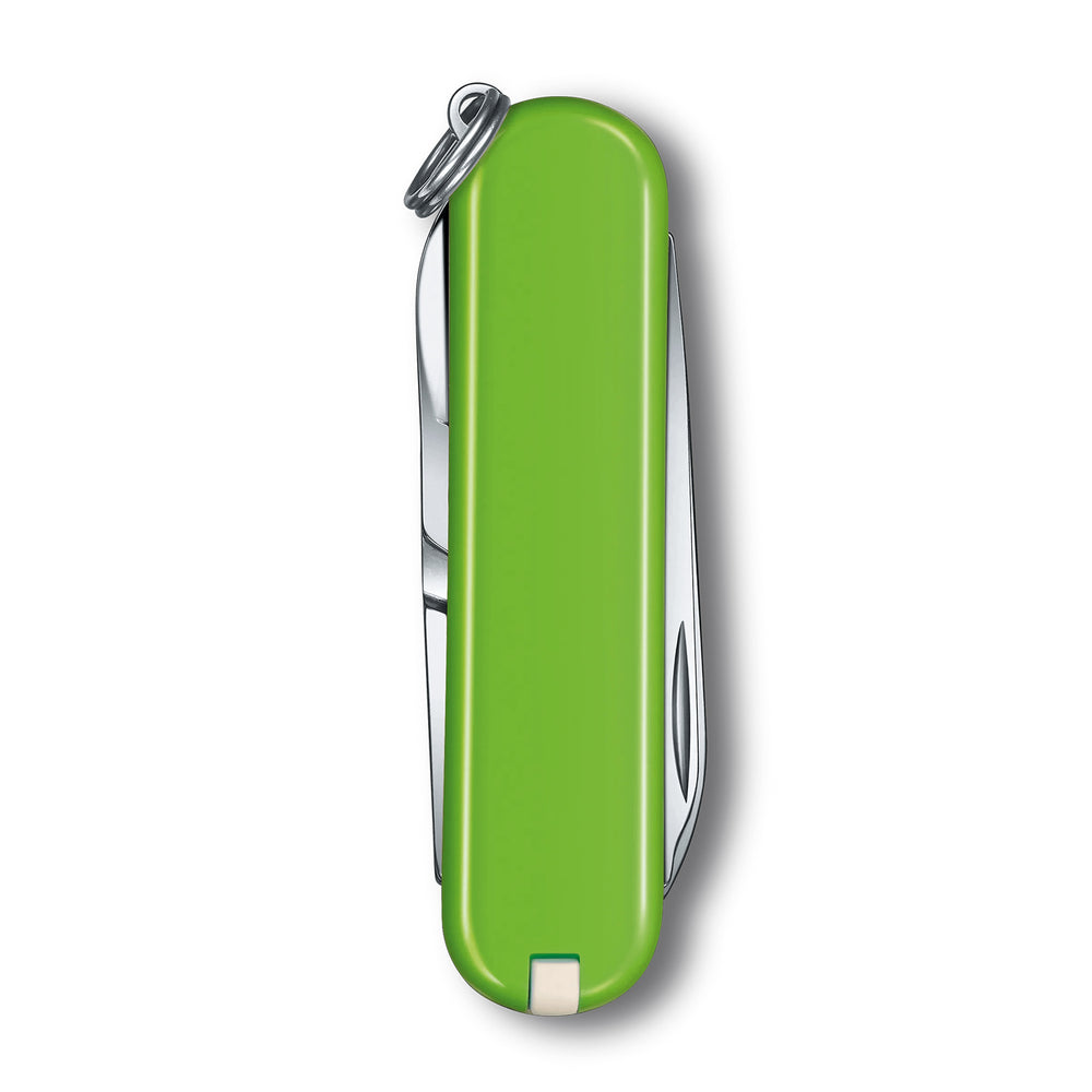 Victorinox Classic SD Classic Colors in Smashed Avocado - 0.6223.43G