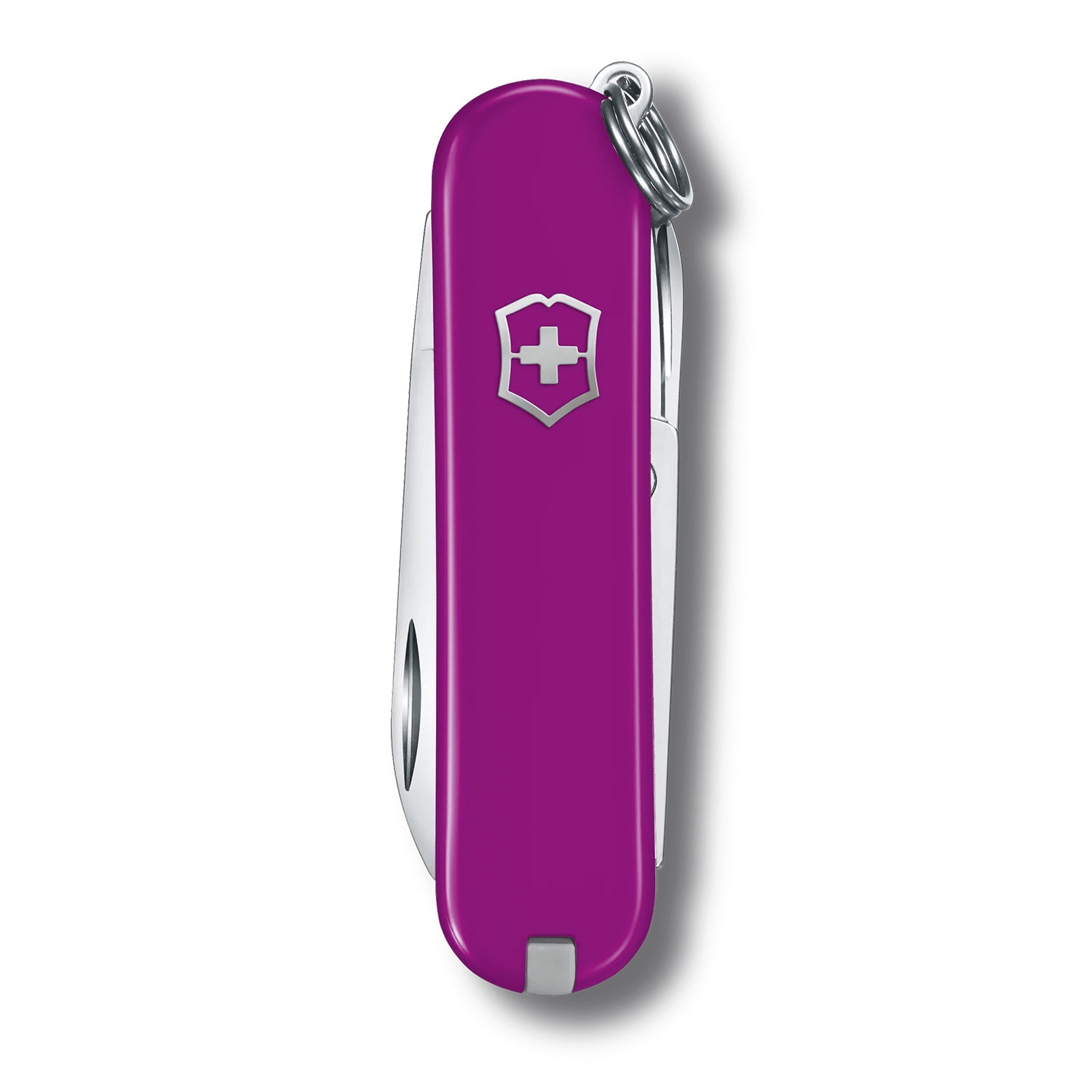 Victorinox Classic SD Classic Colors in Tasty Grape - 0.6223.52G
