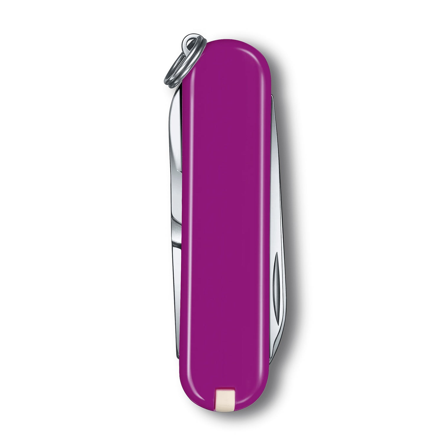Victorinox Classic SD Classic Colors in Tasty Grape - 0.6223.52G