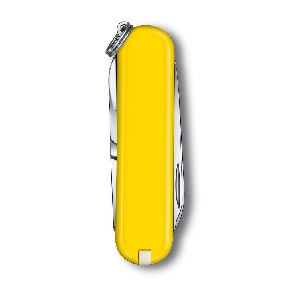Victorinox Classic SD Classic Colors in Sunny Side - 0.6223.8G