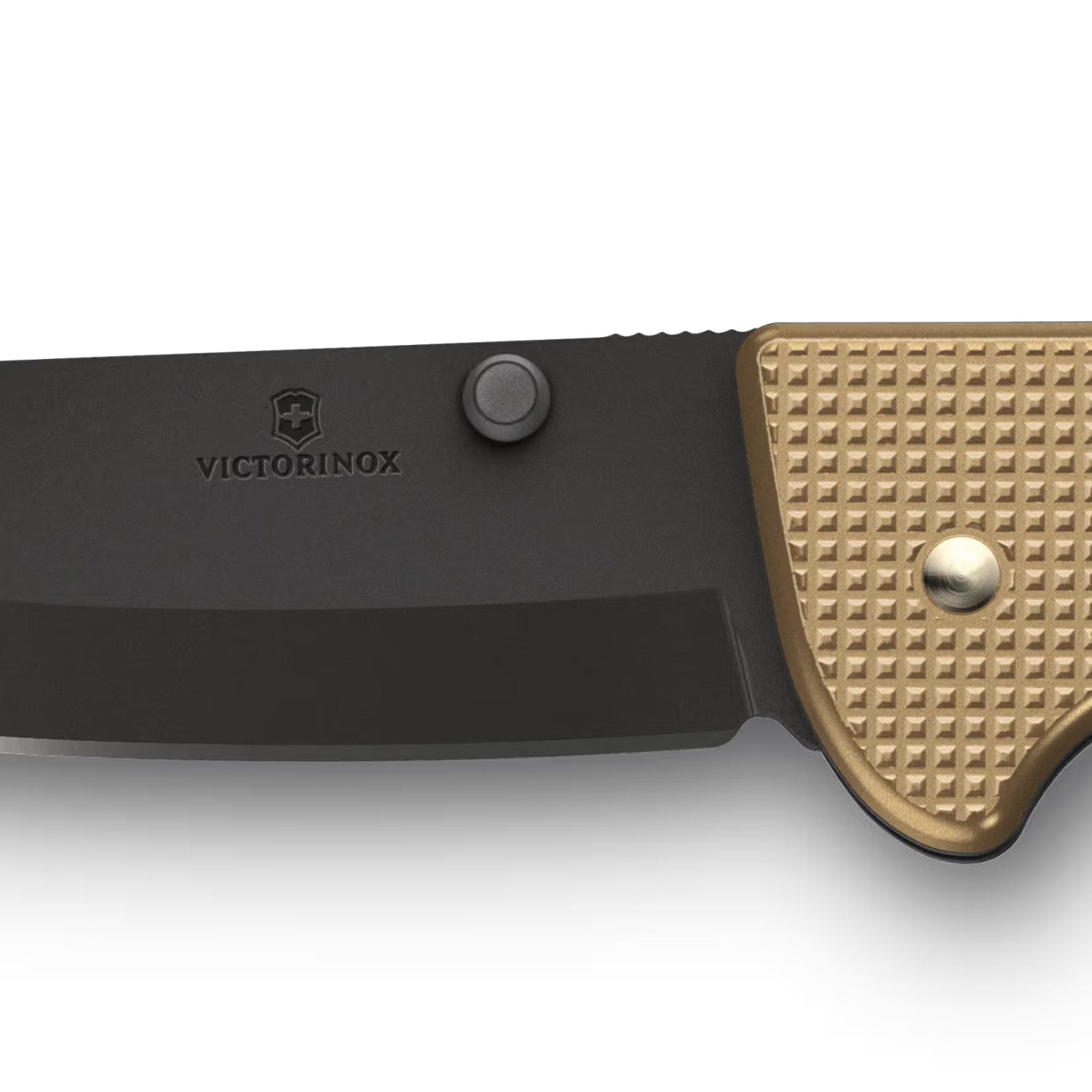 Victorinox Evoke BS Alox in beige - 0.9415.DS249